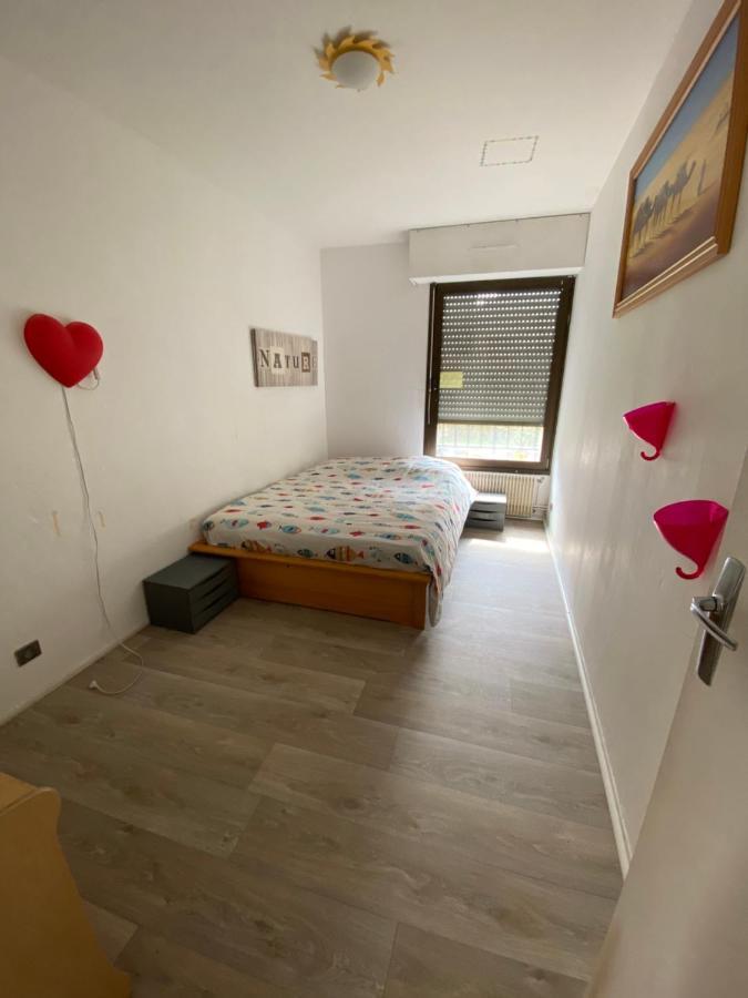 Nancy Hyper Centre, Chambre Prive Chez L'Habitant En Colocation Exterior foto